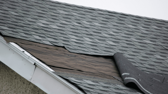 Three Reasons you may need a new roof